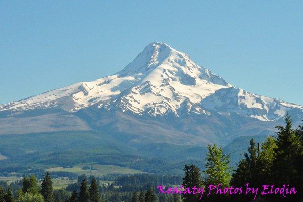 Mt. Hood, OR Summer 2016