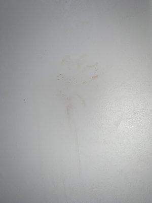 Brown handprint from previous renter by bathroom