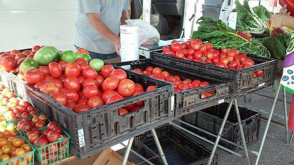 OMG...these tomatoes were to die for!