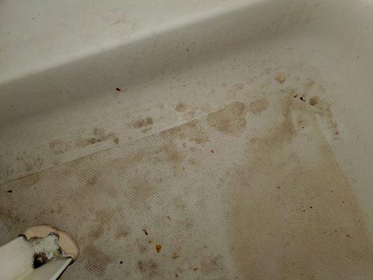 This is the oil stain left in shower from water