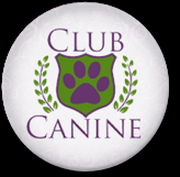 Club Canine