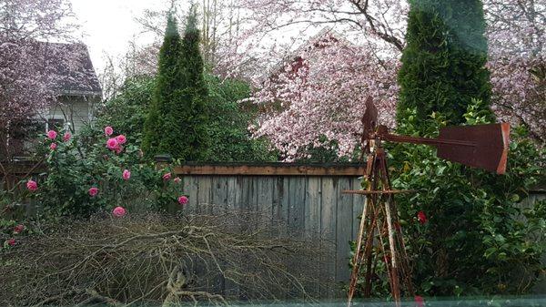 Enjoy Spring and Summer in your own private backyard!