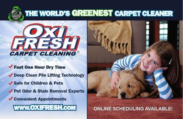 Oxi Fresh Carpet Cleaning