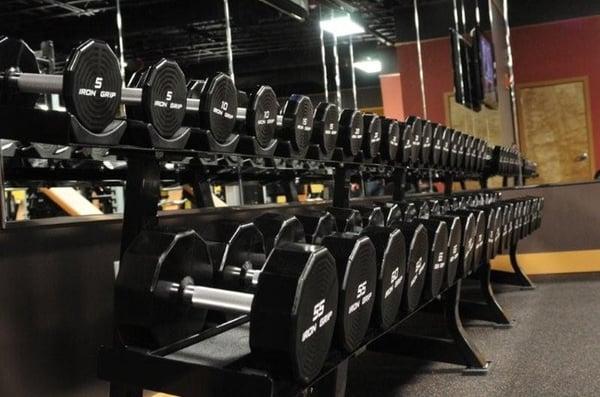 Great selection of free weights.