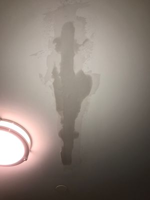 Water damage after 1st repair