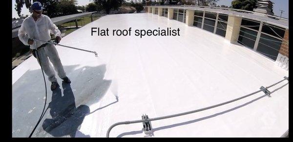 Silicone roof system