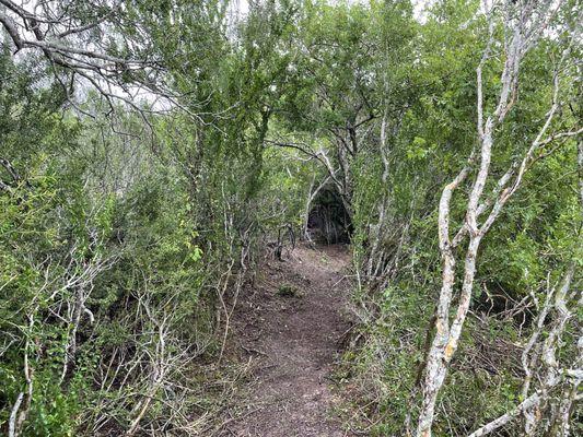 Harlingen Arroyo MTB Trails, Recluse segment (blue trail)