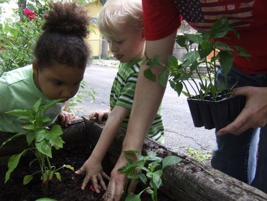 Gardening