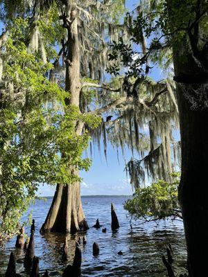 Palm Point Nature Park