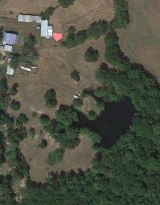 7 Acres of heaven and a 10 foot fishing pond!