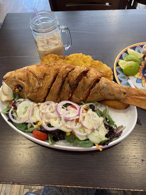 Noche de Colombia pescado