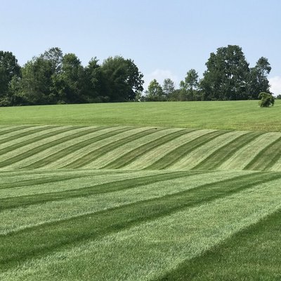 Lawn Maintenance