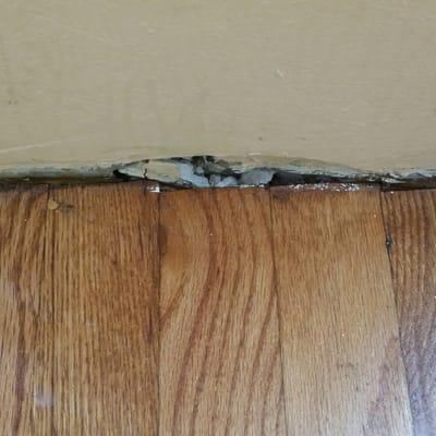 Sealing all cracks and crevices is very important in pest management. Stopping them from coming in or having hiding places wi...