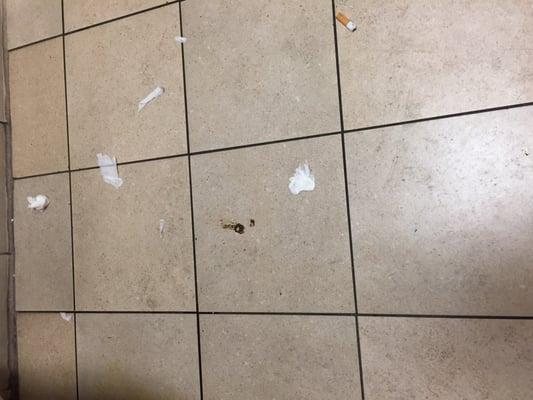 Dried feces on the floor.