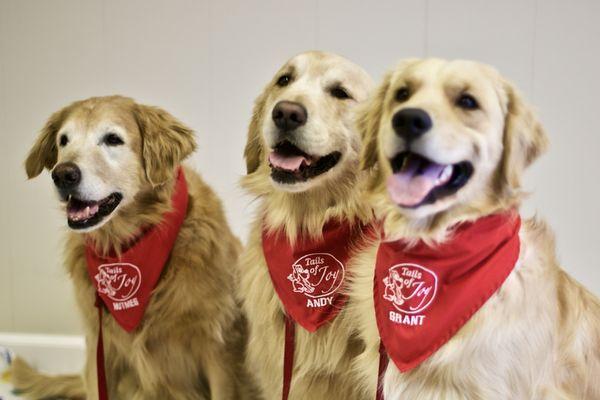 The Three Golden Amigos.