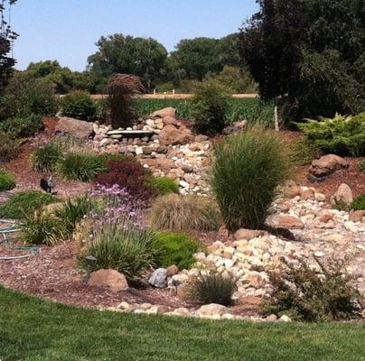 Recirculating water feature using drought tolerant plants