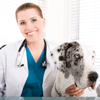 Animal Medical Clinic