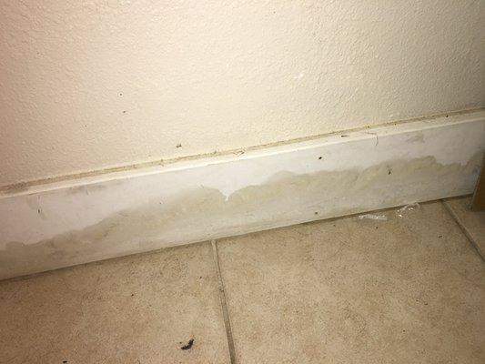 Mold & water damage.