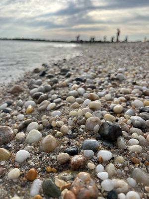 Pebbly beach so water is pretty clear