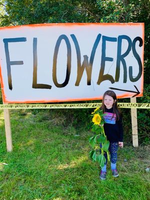 Colby Farm, flowers for sale in the farm stand