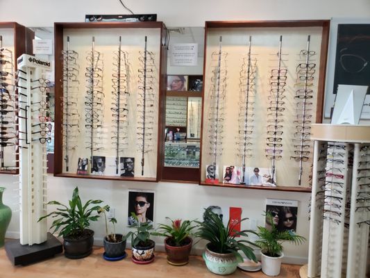 Two shelves of glasses which could be free with your insurance