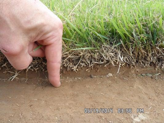 Hillbilly Turf Sod Farm