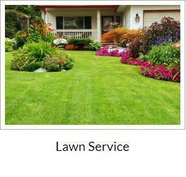 Lawn Service