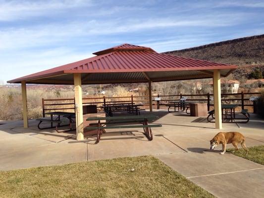 They have more than one picnic area @ Cottonwood Cove Park - 1/13/16