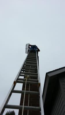 Installing a chimney cap to make sure no more birds or raccoons move in after we trap and remove them