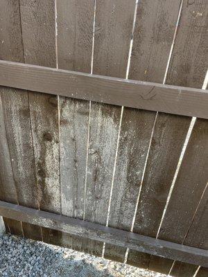 Never cleaned fencing or home, left it like this.