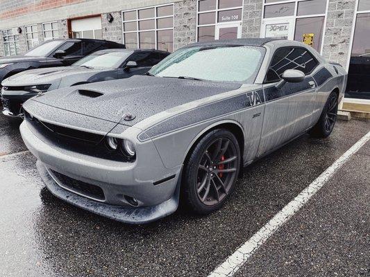 Dodge Challenger with XPEL PRIME window tint.