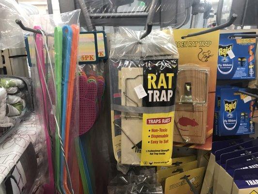 Rat traps??