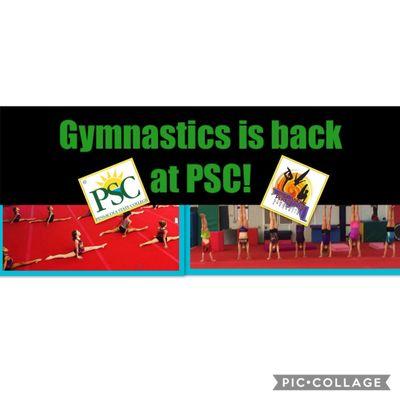 Gymnastics is back at Pensacola State College! Amazing programs are brought to you by Panhandle Perfection Gymnastics.