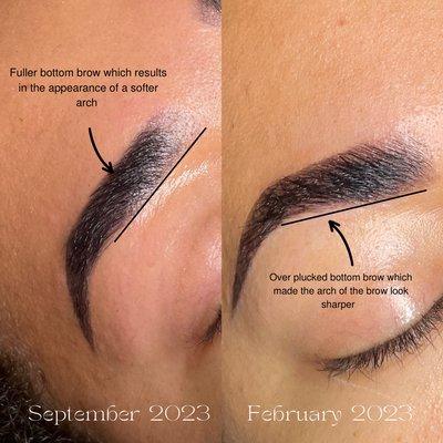 Client 7 month brow journey