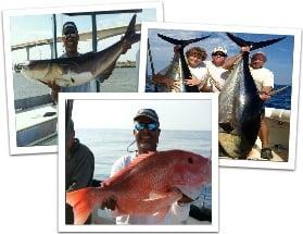 Stress Reel Ease Fishing Charters