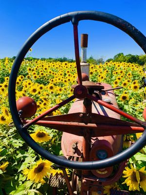 Tractor for pictures