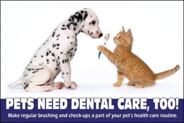 We will help keep your pet smiling!