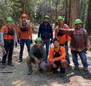 Forest Restoration Crew