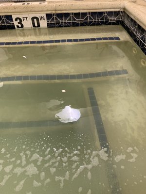 Dirty looking water in hot tub