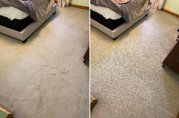 Magna-Dry Carpet & Upholstery