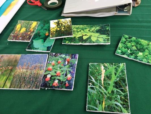 Capitol Land Trust booth