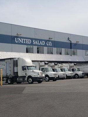 United Salad Co