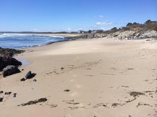 May morning at lowish tide