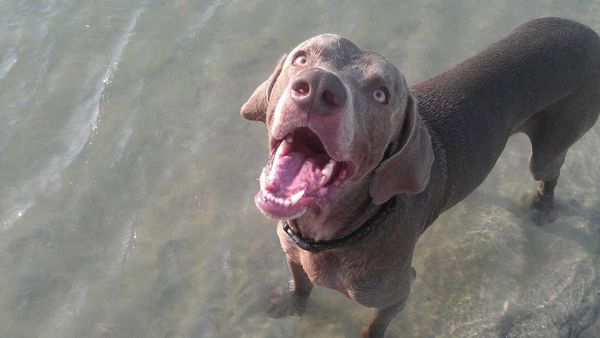 Swim time