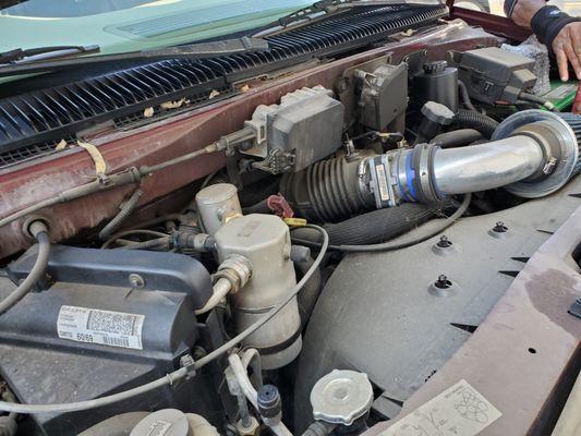 Engine Bay after Van had been sitting in yard at Halls shop