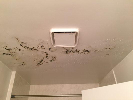 Black mold and leaking ceiling. Told it was from showering with the door closed despite no mold over the tub. Actually upstairs toilet leak.