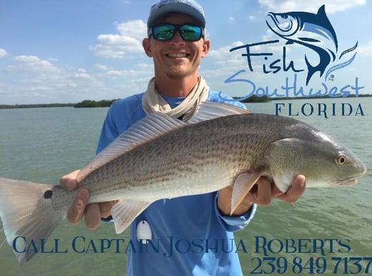 Estero Bay Redfish www.fishsouthwestfl.com