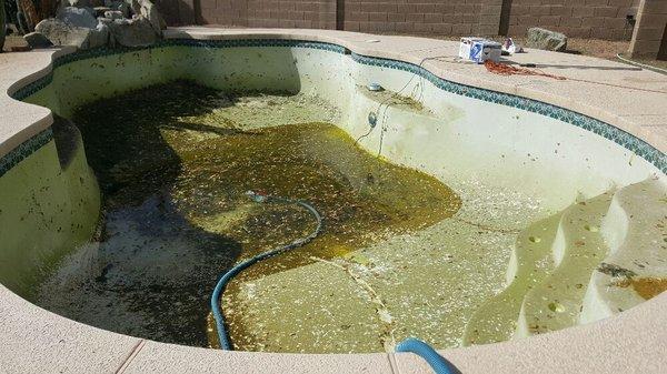 Before acid wash and chlorine wash! Wow this pool needed some love.