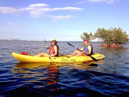 The mangrove kayak tour was so much fun! Highly recommend it