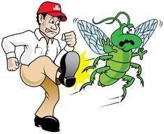 Elite Termite and Pest Services